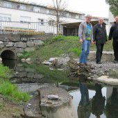 Lustenau will Gewässer naturnah gestalten