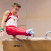 Den Triumphzug fortgesetzt