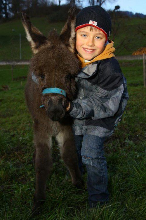 Tierbaby der Woche mit dem 6 Wochen alten Esel Ludowika und dem 8jährigen Julian aus Satteins;