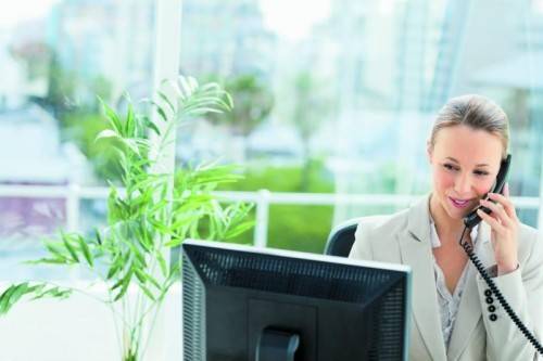 Wohlfühleffekt vorprogrammiert: Grün am Arbeitsplatz fördert auch die Konzentration und Leistungsfähigkeit. Foto: Fotolia
