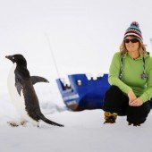 Polarschiff-Crew muss eiserne Geduld beweisen