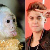 Jetzt ist Bieber auf den Hund gekommen