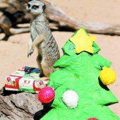 Tierische Weihnachten