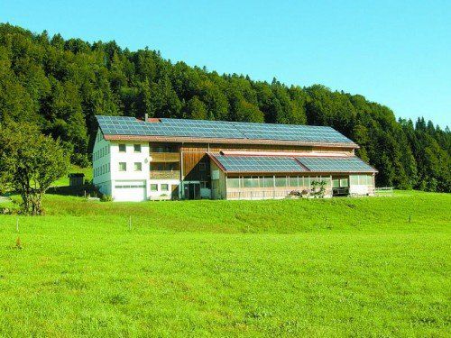 Die Südseite des Hofs von Dietmar Vögel in Sulzberg ist seit Kurzem mit Solarmodulen bestückt. Fotos: LK