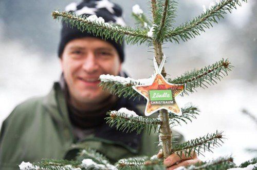 Dieser Stern kennzeichnet Ländle- Christbäume. Ländle marketing