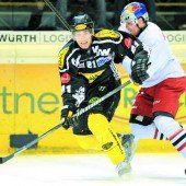 Bulldogs treffen auf Salzburg