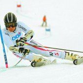 Im Weltcup stark vertreten