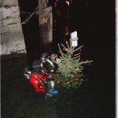 Weihnachtstauchen