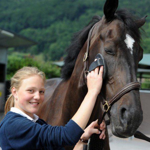 Laura Sutterlüty mit ihrem elfjährigen Walach Liquidor Z. Foto: vn/Lerch