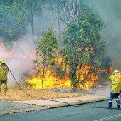 Buschbrand in Australien