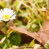 Vom Frühling wach geküsst