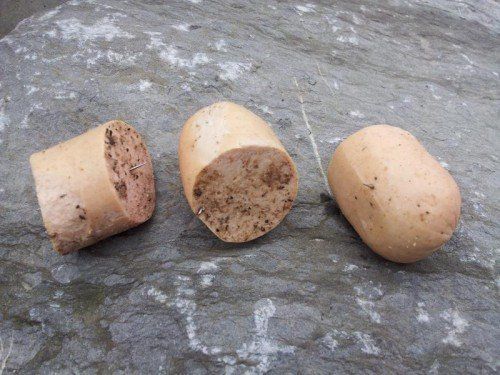 2014 hatte ein Tierquäler Wurststücke mit Nadeln präpariert und in einen Garten geworfen.
