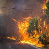 Feuerwehr kämpft gegen Hunderte Brände in Australien