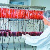 Blut ist Leben und auch Kraft