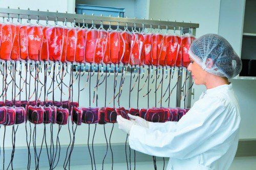 Ist eine Bluttransfusion notwendig, beispielsweise nach einem schweren Unfall, wird meist auf die Bestände in einer Blutbank zurückgegriffen.