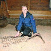 Tierquäler treiben ihr Unwesen auf Bauernhof