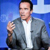 Millionendeal für Arnie