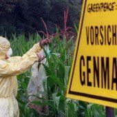 Der Eingriff ins Erbgut