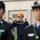 Chinesische Behörden vernichteten tonnenweise Elfenbein
