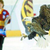 Sherkans Servette-Team fliegt in Dornbirn ein