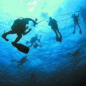 Unterwasserwelt entdecken