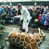 Zoos in der ­Sackgasse
