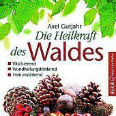 Die Heilkraft des Waldes