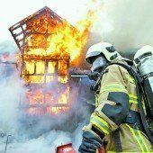 In den Flammen geboren und gerettet