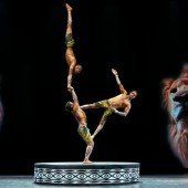 Magischer Zirkus: „Afrika! Afrika!“