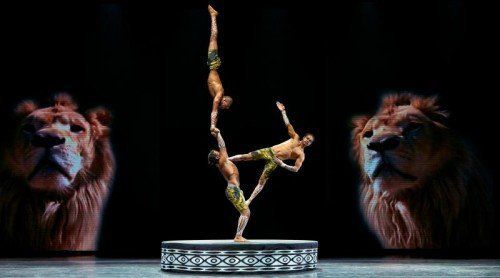 Für eine neue Tournee wurde die Zirkusshow „Afrika! Afrika!“ von André Heller speziell für Theaterbühnen neu inszeniert und versetzt das Publikum wieder ins Staunen. foto: showfactory