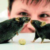 Tierquälerei im Namen der Wissenschaft