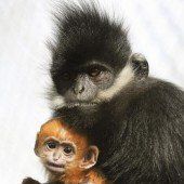 Familienfoto