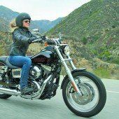 Rückkehr der Dyna Low Rider