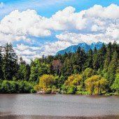 Erholung von der Stadt im Stanley Park