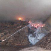 Großeinsatz bei Brand in Holzschnitzeldepot