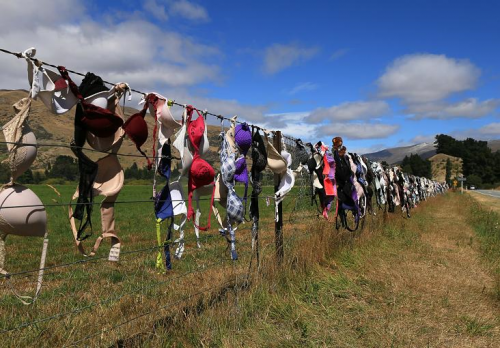 Der „BH“-Zaun in Cardrona in Neuseeland lockt neben Touristen auch Diebe an.  