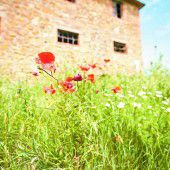 Urlaub für Genießer im Val d’Orcia