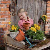 VN am Telefon: Alles über den Garten