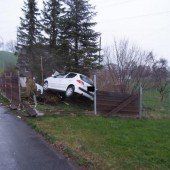 Von der Straße im Garten gelandet