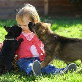 Tierische Liebe
