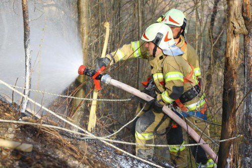Waldbrand Röthis Bereich Höll; gegen 17.00 Uhr