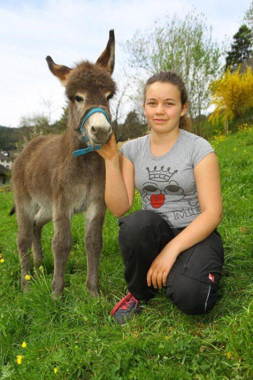 Tierbaby der Woche; Johanna aus Satteins mit der 6 Wochen alten Esel Lota