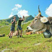 Weniger Mittel aus EU-Agrartöpfen