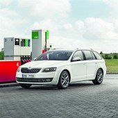 Liegt die Auto-Zukunft im Kuh-Gas?
