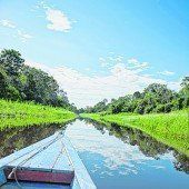 Amazonas und Regenwald