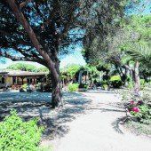 Das Feriendorf „Zum störrischen Esel“