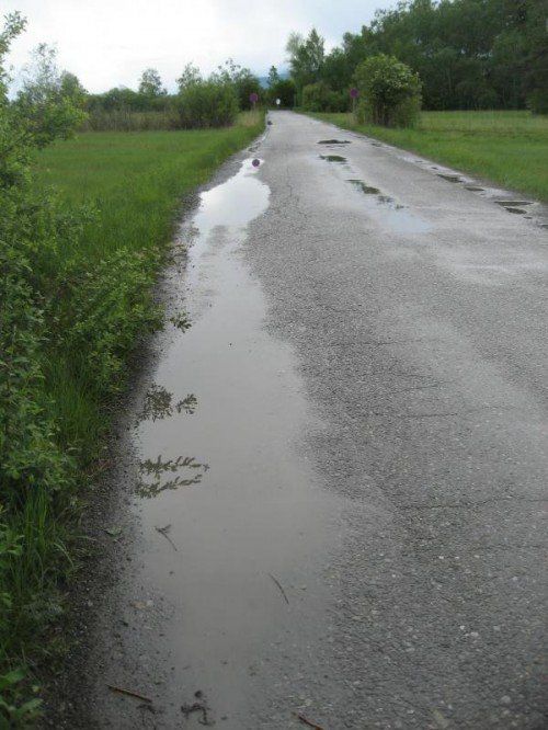 Der generell schlechte Zustand und die geringe Breite der Rohrstraße von Höchst in Richtung Rohrspitz zog den Zorn von Gerhard Blum auf sich. Er sprach im Bürgerforum gar von einer „Spießrutenfahrt“ für die Fahrradfahrer. Lange dürfte die derzeitige Situation allerdings nicht mehr bestehen. Die Planung der Generalsanierung sei nämlich bereits abgeschlossen, sagt Bürgermeister Herbert Sparr. Die erforderlichen Budgetmittel für das 460.000-Euro-Projekt seien bereitgestellt, auch eine Förderzusage des Landes gebe es bereits.