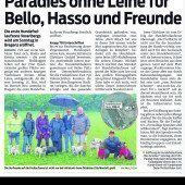 Dornbirn: Hundefreilaufzone?