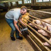 „Kleine Maßnahmen, die sich für die Nutztiere gleich positiv auswirken“