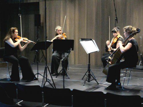 Ensemble plus trat im Vorarlberg Museum auf.  Foto: JU